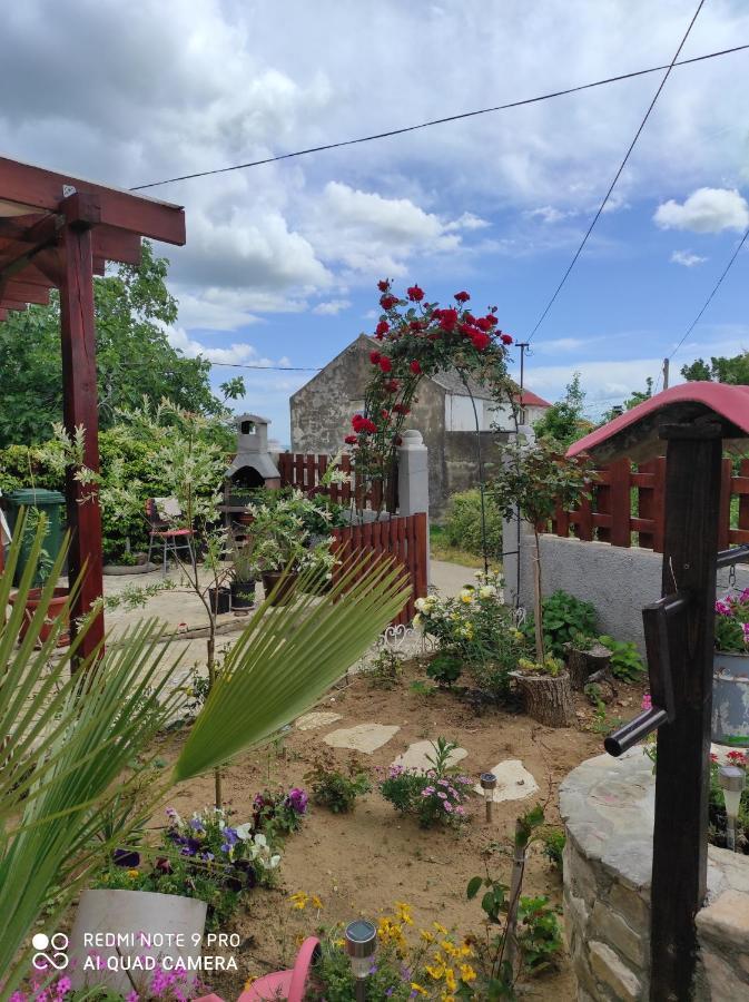 Kuca Za Odmor Delfina Villa Slivnica ภายนอก รูปภาพ