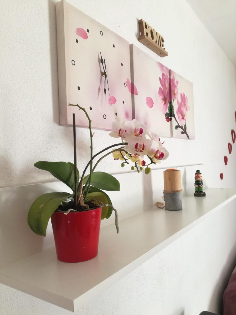 Kuca Za Odmor Delfina Villa Slivnica ภายนอก รูปภาพ